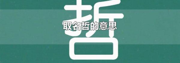 取名哲的意思