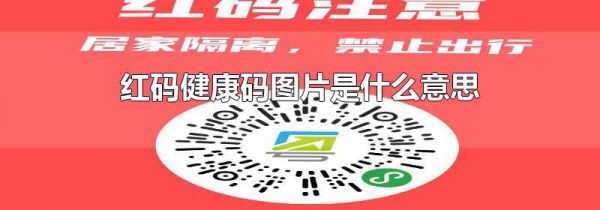红码健康码图片是什么意思