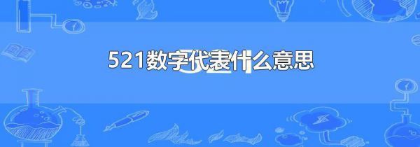 521数字代表什么意思