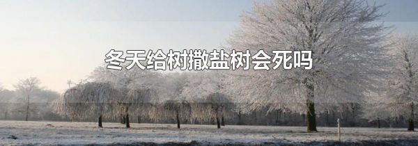 冬天给树撒盐树会死吗