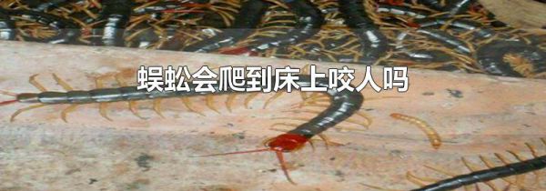 蜈蚣会爬到床上咬人吗