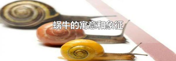 蜗牛的寓意和象征