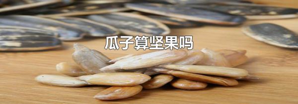 瓜子算坚果吗