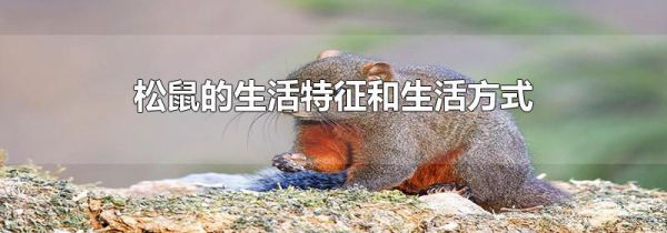松鼠的生活特征和生活方式