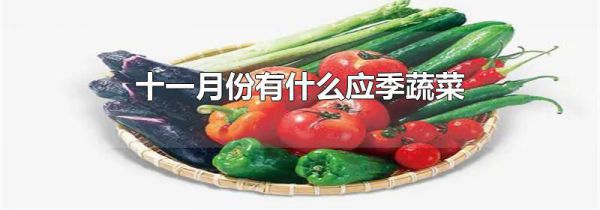 十一月份有什么应季蔬菜