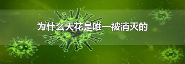 为什么天花是唯一被消灭的