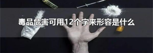 毒品危害可用12个字来形容是什么