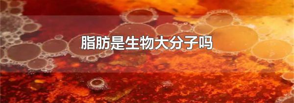 脂肪是生物大分子吗