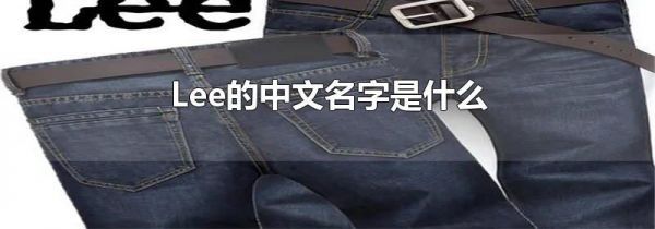 Lee的中文名字是什么