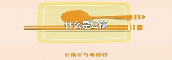 什么是公筷