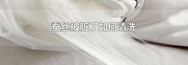 蚕丝被脏了如何清洗