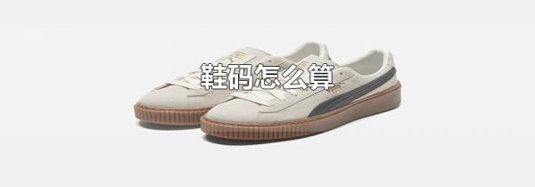 鞋码怎么算