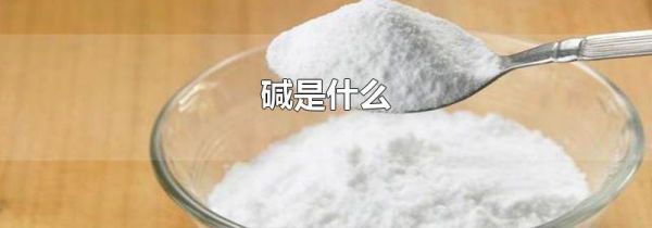 碱是什么