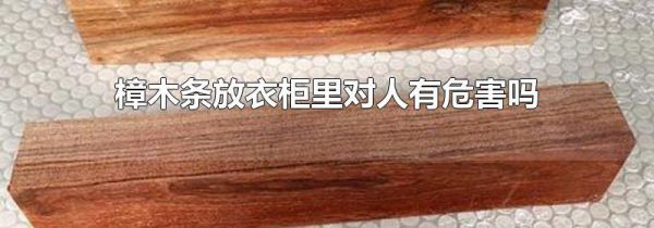樟木条放衣柜里对人有危害吗