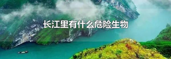 长江里有什么危险生物