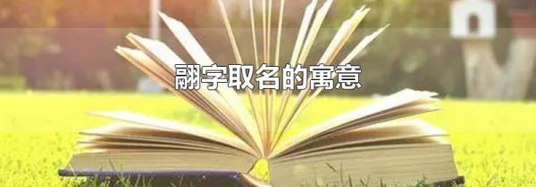 翮字取名的寓意