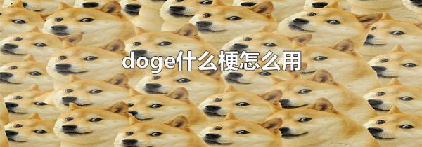 doge什么梗怎么用