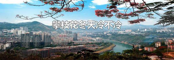 攀枝花冬天冷不冷