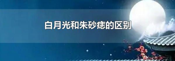 白月光和朱砂痣的区别