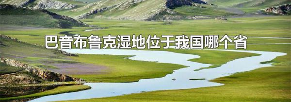 巴音布鲁克湿地位于我国哪个省