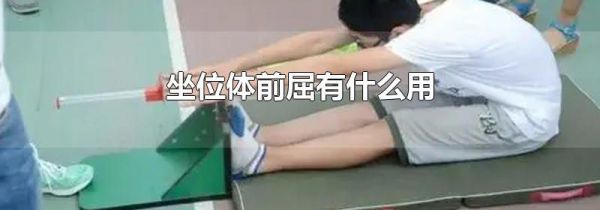 坐位体前屈有什么用