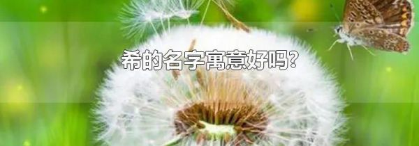 希的名字寓意好吗?
