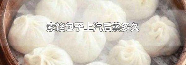 素馅包子上汽后蒸多久