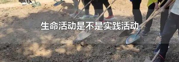 生命活动是不是实践活动