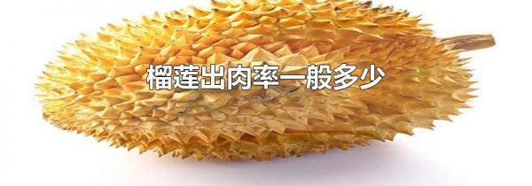 榴莲出肉率一般多少