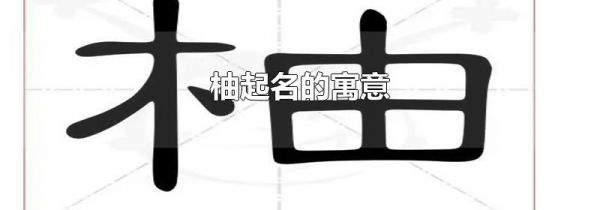 柚起名的寓意