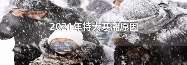 2021年特大寒潮原因