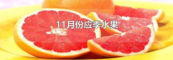 11月份应季水果