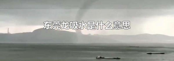 东莞龙吸水是什么意思