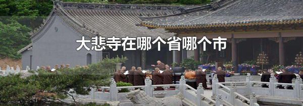 大悲寺在哪个省哪个市