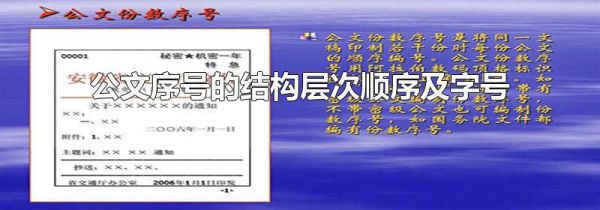 公文序号的结构层次顺序及字号