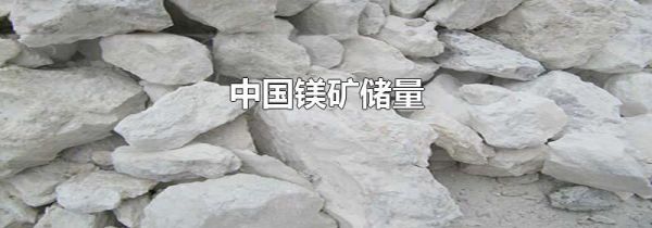 中国镁矿储量