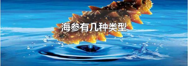海参有几种类型