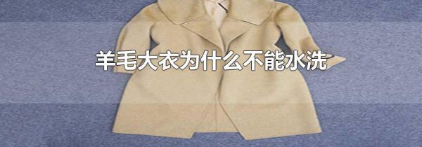 羊毛大衣为什么不能水洗