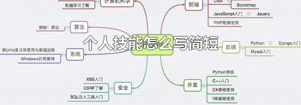 个人技能怎么写简短