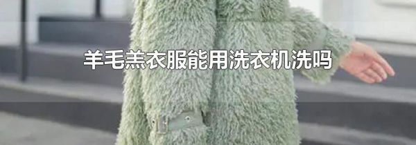 羊毛羔衣服能用洗衣机洗吗