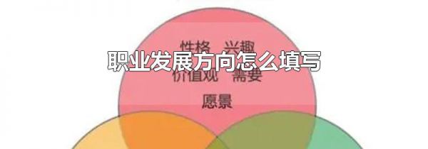 职业发展方向怎么填写