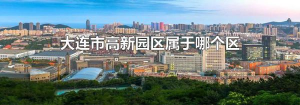 大连市高新园区属于哪个区