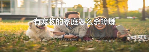 有宠物的家庭怎么杀蟑螂
