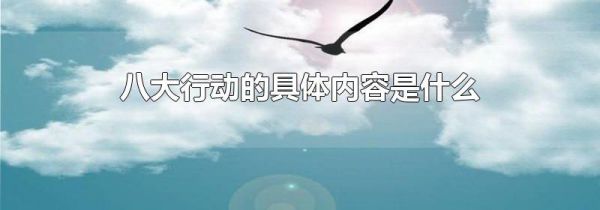 八大行动的具体内容是什么