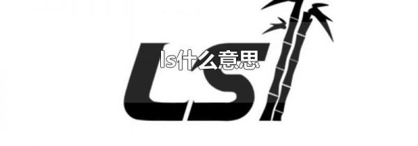 ls什么意思