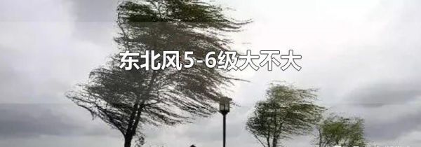 东北风5-6级大不大