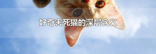 好奇害死猫的深层含义