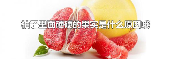 柚子里面硬硬的果实是什么原因哦