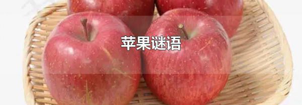 苹果谜语