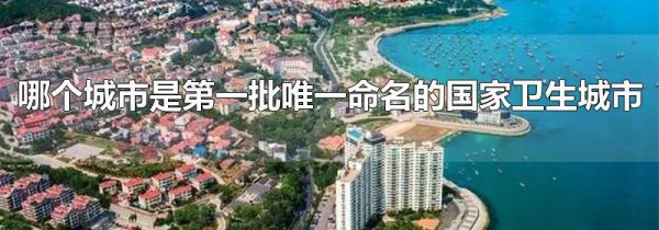 哪个城市是第一批唯一命名的国家卫生城市
